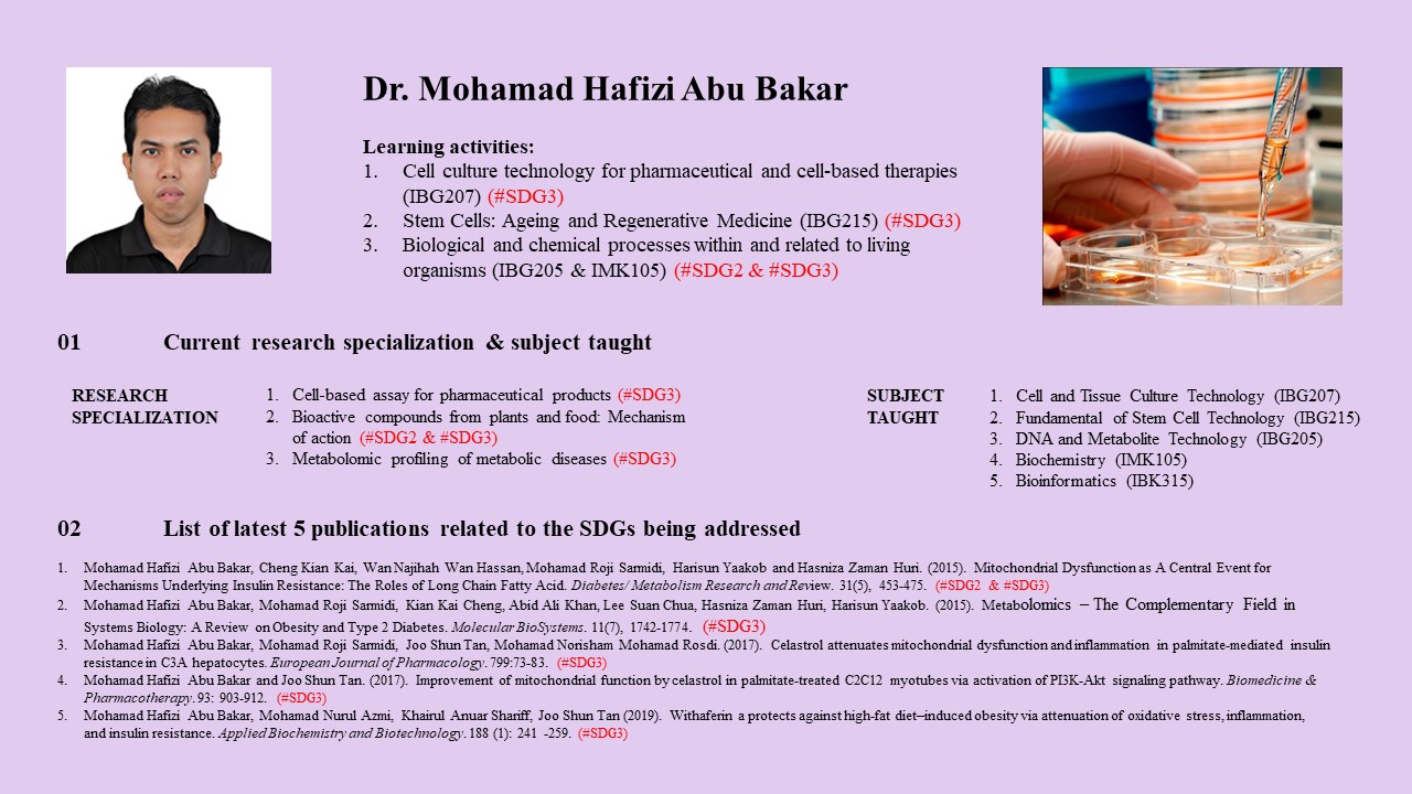 Poster SDG Dr Hafizi